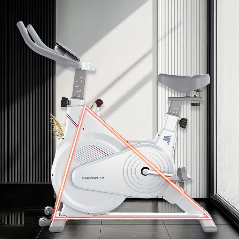실내용 고정식 스핀 바이크, LCD 모니터가 있는 무소 - Exercise Bike Magnetic Resistance 리뷰 및 가격
